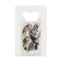 Woodpecker, Green Woodpecker, Woodpecker Bird