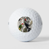 Woodpecker, Green Woodpecker, Woodpecker Bird Golfballen (Voorkant)