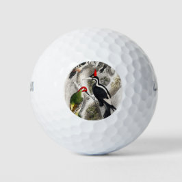 Woodpecker, Green Woodpecker, Woodpecker Bird Golfballen