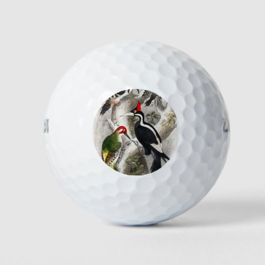 Woodpecker, Green Woodpecker, Woodpecker Bird Golfballen (Voorkant)