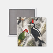Woodpecker, Green Woodpecker, Woodpecker Bird Magneet (Voorkant / Achterkant)