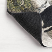 Woodpecker, Green Woodpecker, Woodpecker Bird Muismat (Hoek)