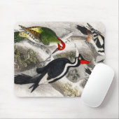 Woodpecker, Green Woodpecker, Woodpecker Bird Muismat (Met muis)