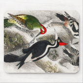 Woodpecker, Green Woodpecker, Woodpecker Bird Muismat (Voorkant)