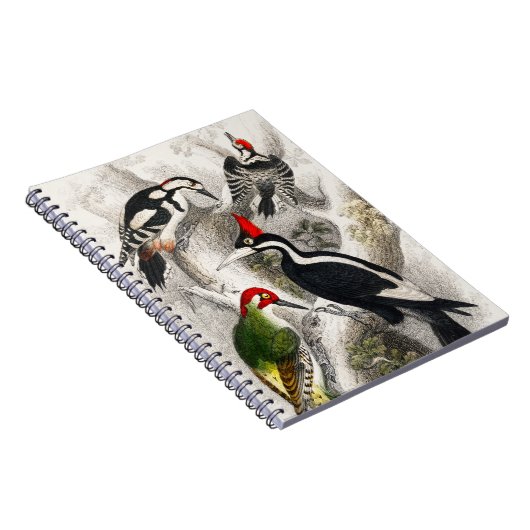 Woodpecker, Green Woodpecker, Woodpecker Bird Notitieboek (Rechterzijde)