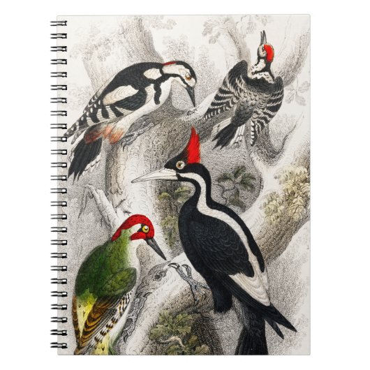 Woodpecker, Green Woodpecker, Woodpecker Bird Notitieboek (Voorkant)