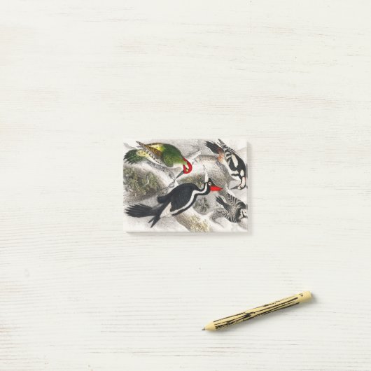 Woodpecker, Green Woodpecker, Woodpecker Bird Post-it® Notes (Op bureau)