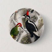 Woodpecker, Green Woodpecker, Woodpecker Bird Ronde Button 5,7 Cm (Voorkant)