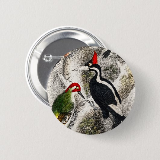 Woodpecker, Green Woodpecker, Woodpecker Bird Ronde Button 5,7 Cm (Voorkant /achterkant)