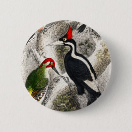 Woodpecker, Green Woodpecker, Woodpecker Bird Ronde Button 5,7 Cm