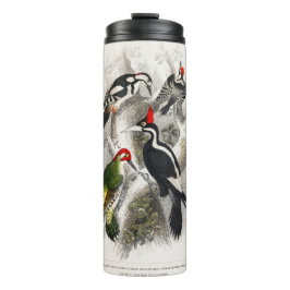 Woodpecker, Green Woodpecker, Woodpecker Bird Thermosbeker