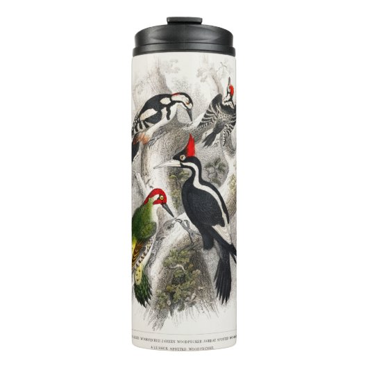 Woodpecker, Green Woodpecker, Woodpecker Bird Thermosbeker (Voorkant)