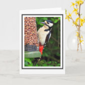 Woodpecker Groeten Kaart (Gele Bloem)