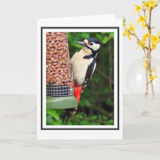 Woodpecker Groeten Kaart (Gele Bloem)