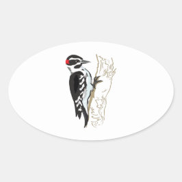 Woodpecker-illustratie Ovale Sticker