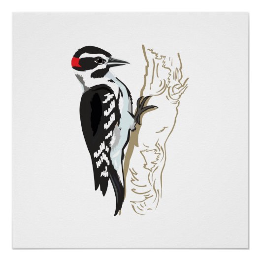 Woodpecker-illustratie Poster (Voorkant)