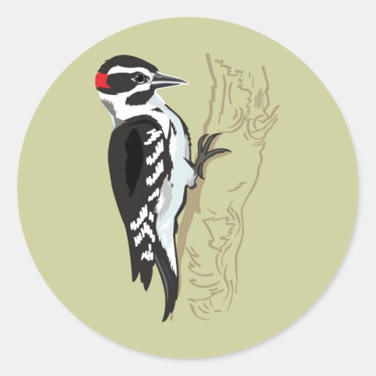 Woodpecker-illustratie Ronde Sticker (Voorkant)