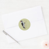 Woodpecker-illustratie Ronde Sticker (Envelop)