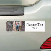 Woodpecker in Bird Feeder Bumpersticker (Op auto)