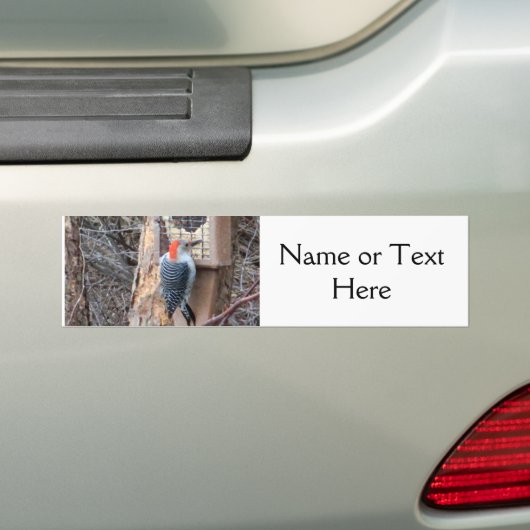 Woodpecker in Bird Feeder Bumpersticker (Op auto)
