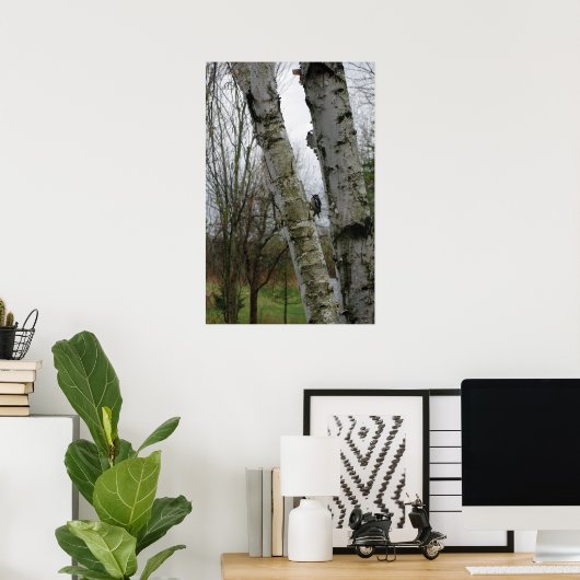 Woodpecker in Spring Poster (Thuiskantoor)