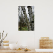 Woodpecker in Spring Poster (Keuken)