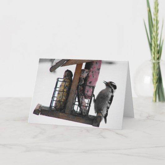 Woodpecker Kaart (Voorkant)