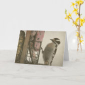 Woodpecker Kaart (Gele Bloem)