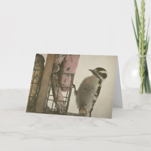 Woodpecker Kaart (Voorkant)