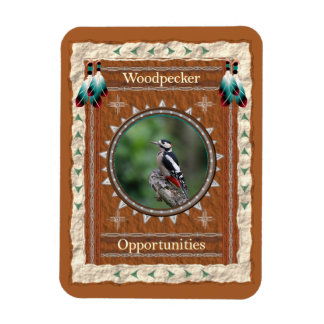 Woodpecker Kansen Energie Magneet