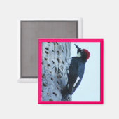 Woodpecker Magneet (Voorkant / Achterkant)