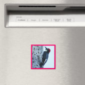 Woodpecker Magneet (Insitu (Vaatwasser))
