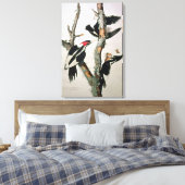 Woodpecker met ivoren buik uit 'Amerikaanse vogels Canvas Afdruk (Insitu (Slaapkamer))