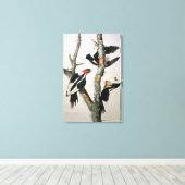 Woodpecker met ivoren buik uit 'Amerikaanse vogels Canvas Afdruk (Insitu (Houten vloer))