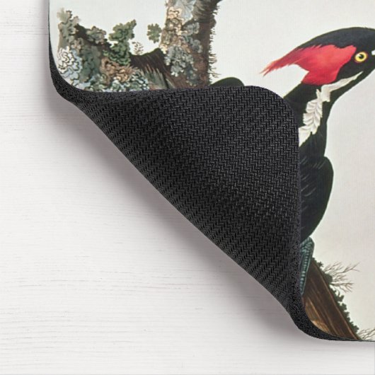 Woodpecker met ivoren buik uit 'Amerikaanse vogels Muismat (Hoek)