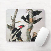 Woodpecker met ivoren buik uit 'Amerikaanse vogels Muismat (Met muis)