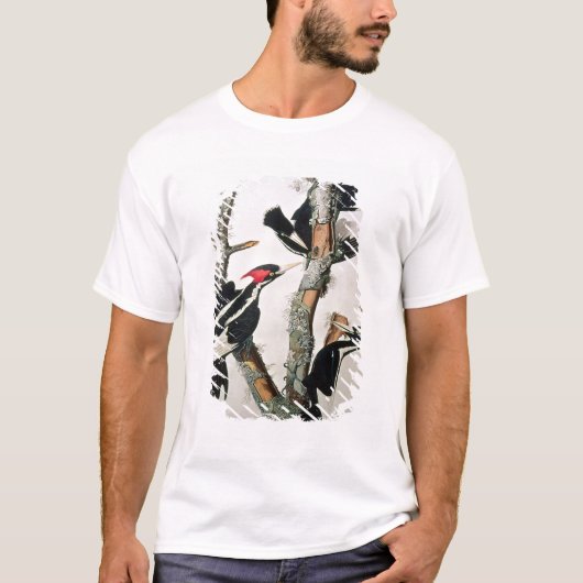 Woodpecker met ivoren buik uit 'Amerikaanse vogels T-shirt (Voorkant)