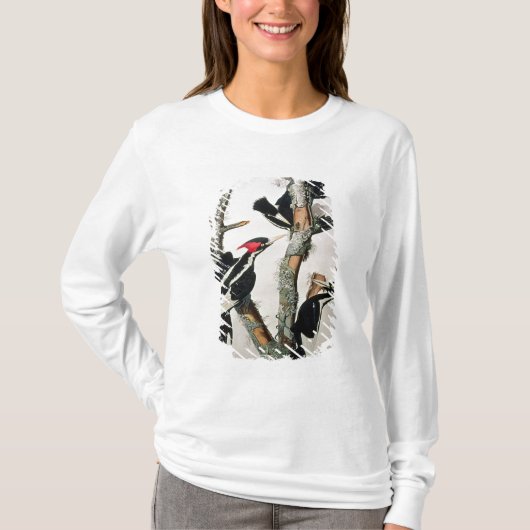 Woodpecker met ivoren buik uit 'Amerikaanse vogels T-shirt (Voorkant)