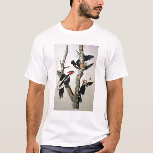 Woodpecker met ivoren buik uit 'Amerikaanse vogels T-shirt (Voorkant)