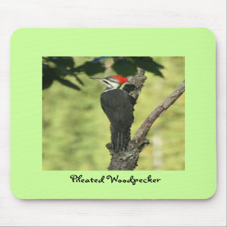 Woodpecker Mousepad Muismat