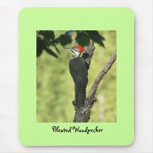 Woodpecker Mousepad Muismat (Voorkant)