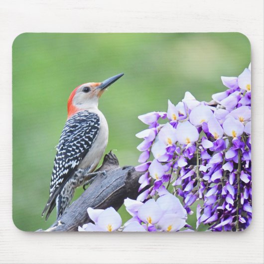 Woodpecker Mousepad Muismat (Voorkant)