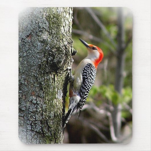 Woodpecker Muismat (Voorkant)