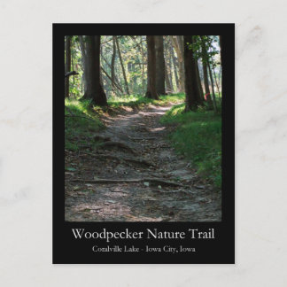 Woodpecker Natuur Trail Briefkaart
