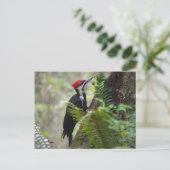 Woodpecker op boom briefkaart (Staand voorkant)