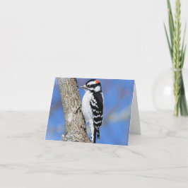 Woodpecker op een Shagbark boomblanco Kaart