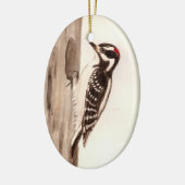 Woodpecker Ornament (Links)
