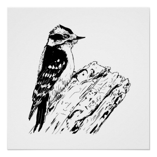 Woodpecker picture/ print / black and white perfect poster (Voorkant)