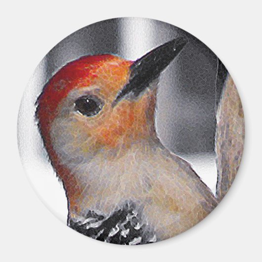 Woodpecker Portrait Magneet (Voorkant)