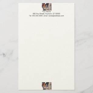 Woodpecker Portrait Stationery Briefpapier